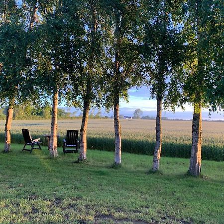 Stunning Romantic Cabin Close To Baltic See Idestrup Eksteriør billede
