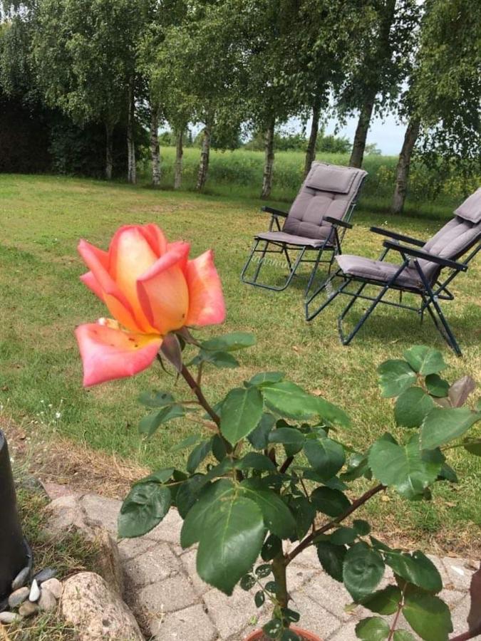Stunning Romantic Cabin Close To Baltic See Idestrup Eksteriør billede